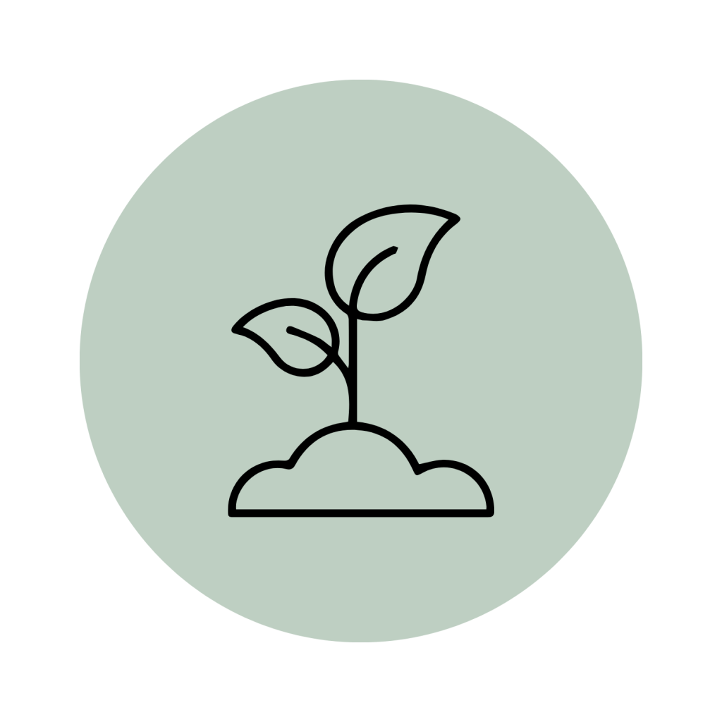 Elültetjük az önismereti növekedés magjait